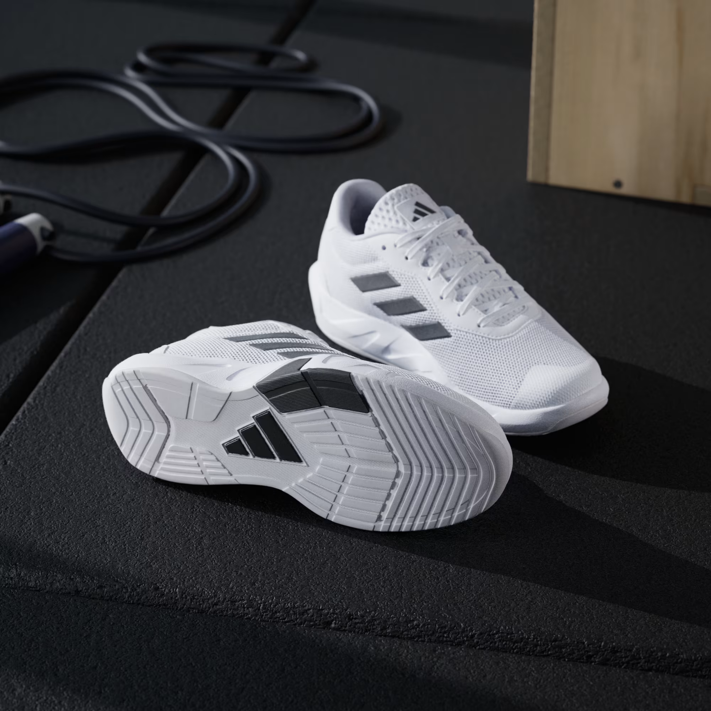 Amplimove B