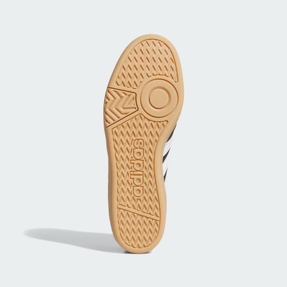 Hoops 4.0