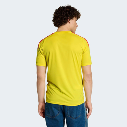 CAMISETA LOCAL FAN COLOMBIA 26